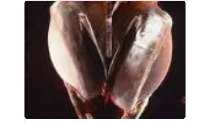 Topic Image